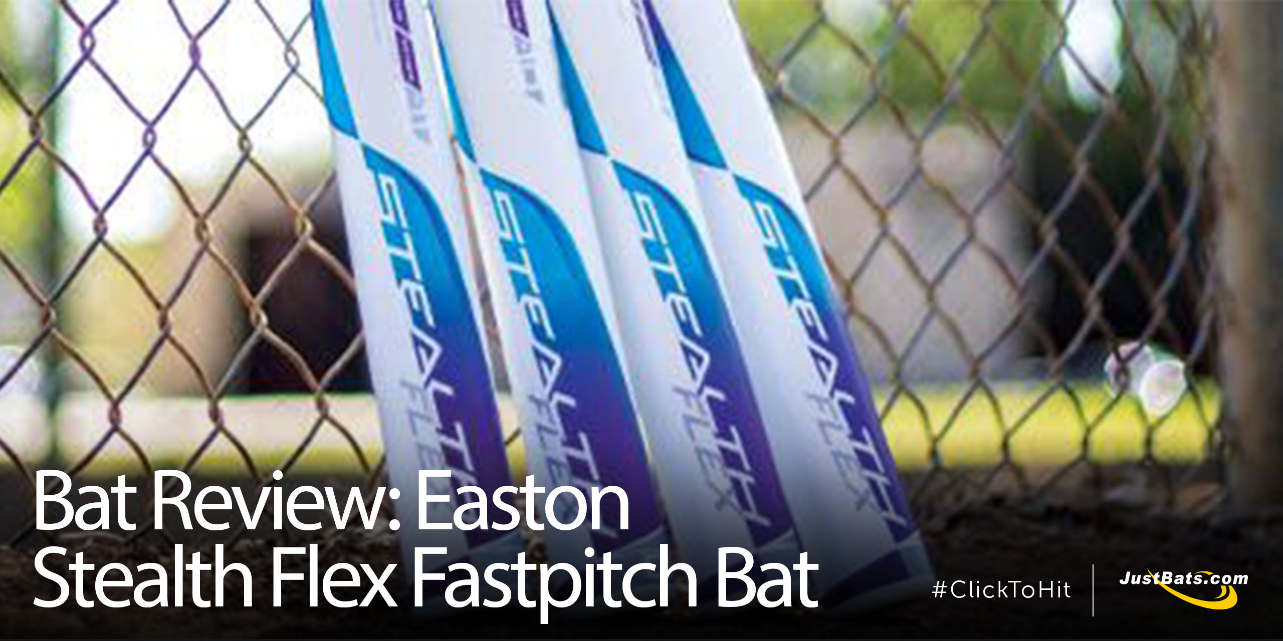 Bat Review Easton Flex - Blog.jpg
