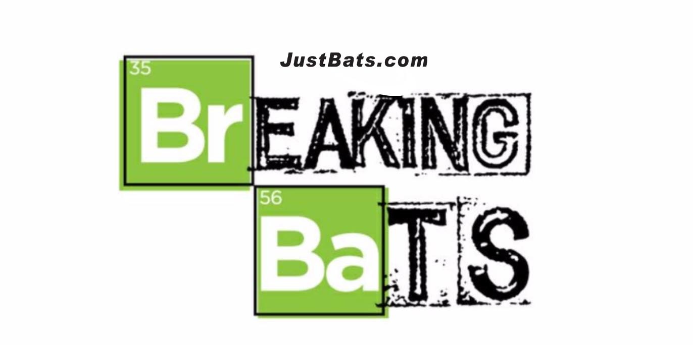 Breaking Bats.jpg