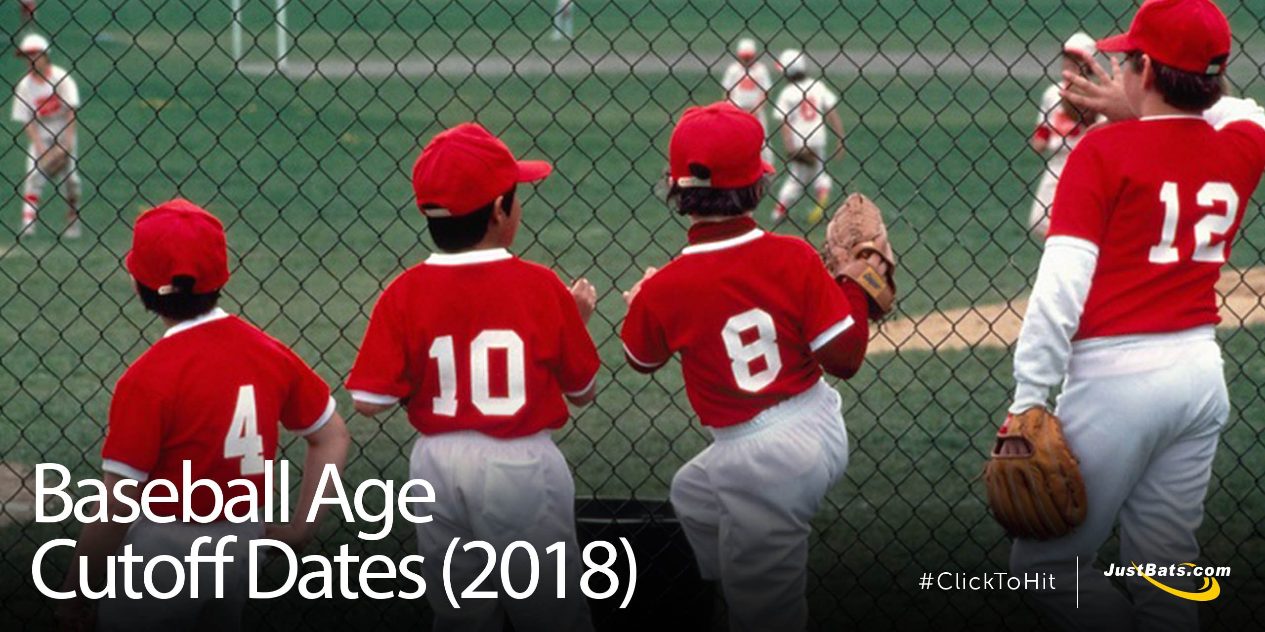 2019 Pony Baseball Age Chart