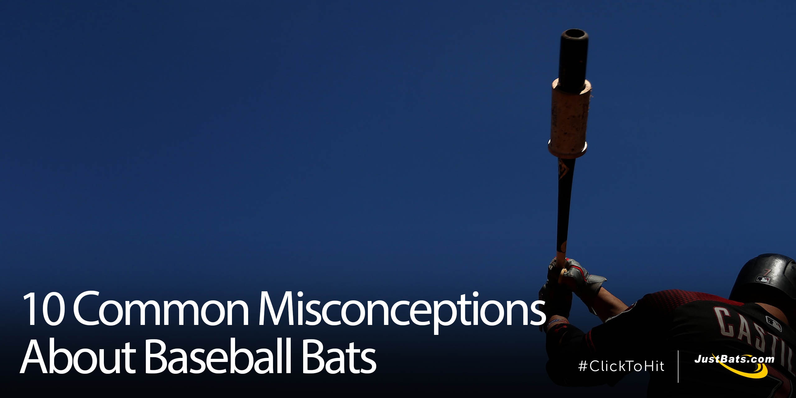 10 Common Misconceptions About Bats - Blog.jpg