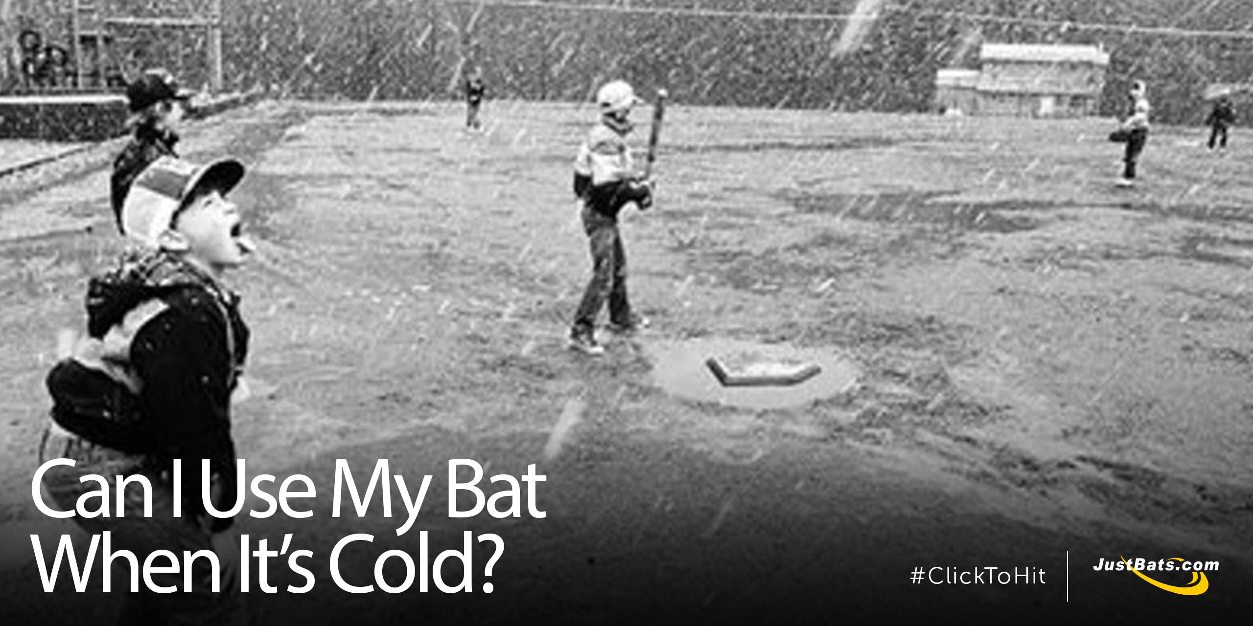 Can I Use My Bat When Its Cold - Blog.jpg